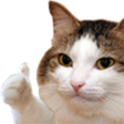 chaimaZuper