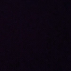 milou_junior